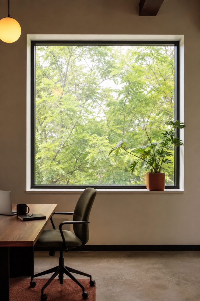 A large window filled with green trees seen from a desk, with a potted plant on the sill